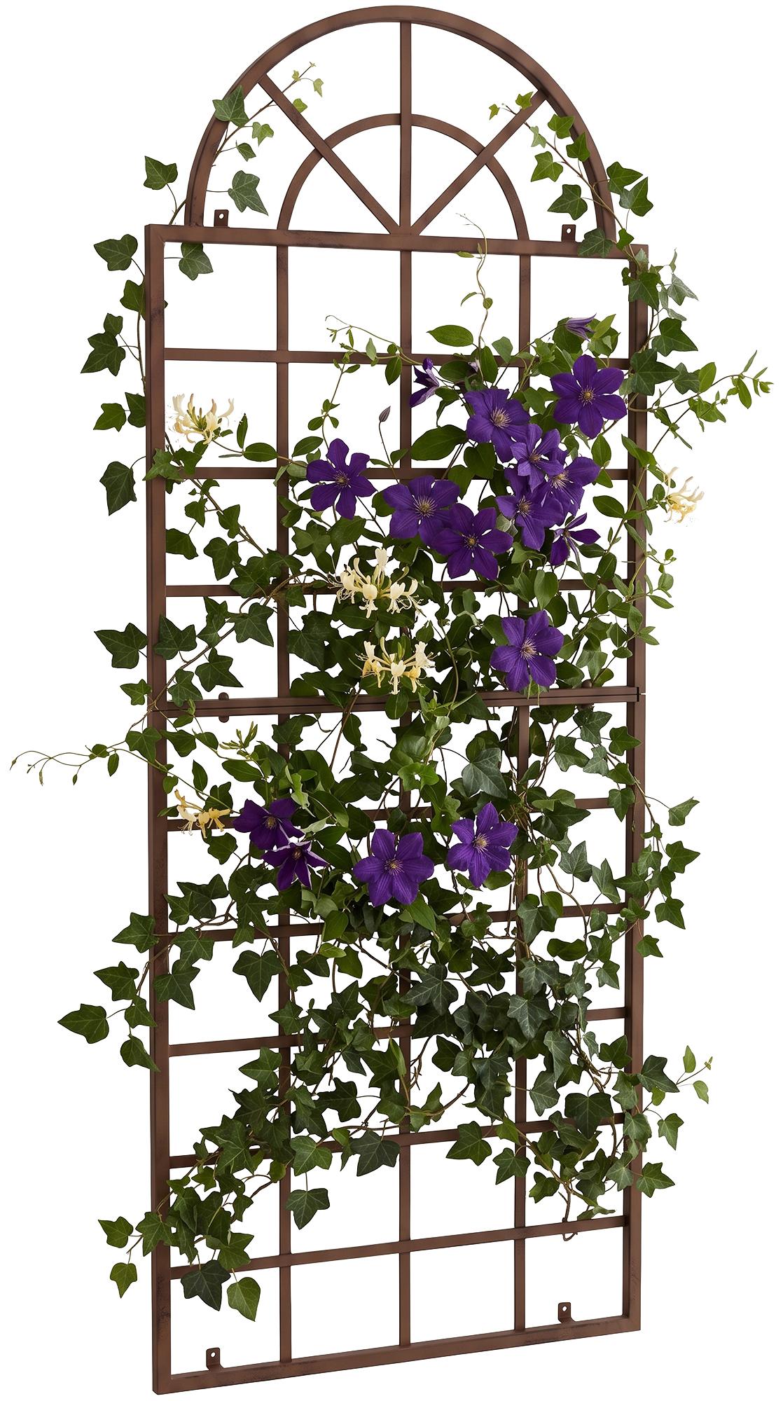 Trellis Viva para montaje en pared