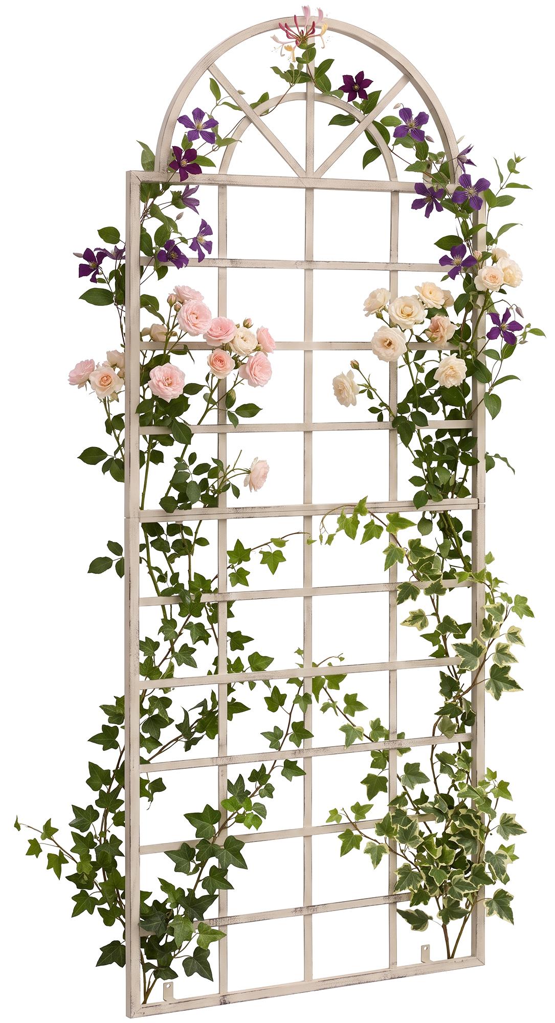 Trellis Viva para montaje en pared