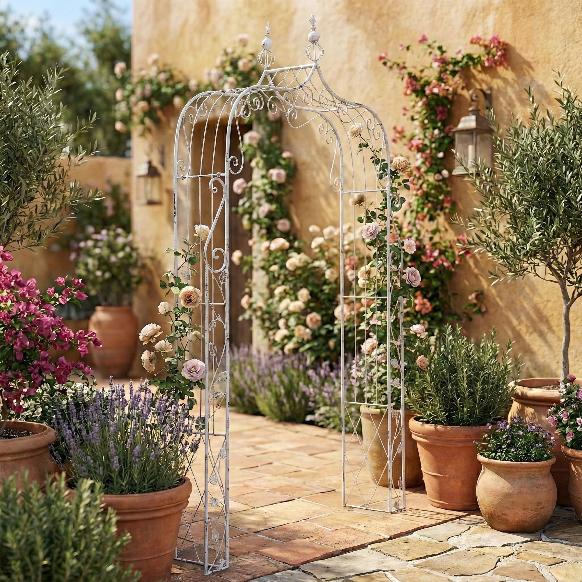 Arco de Rosas Aurora