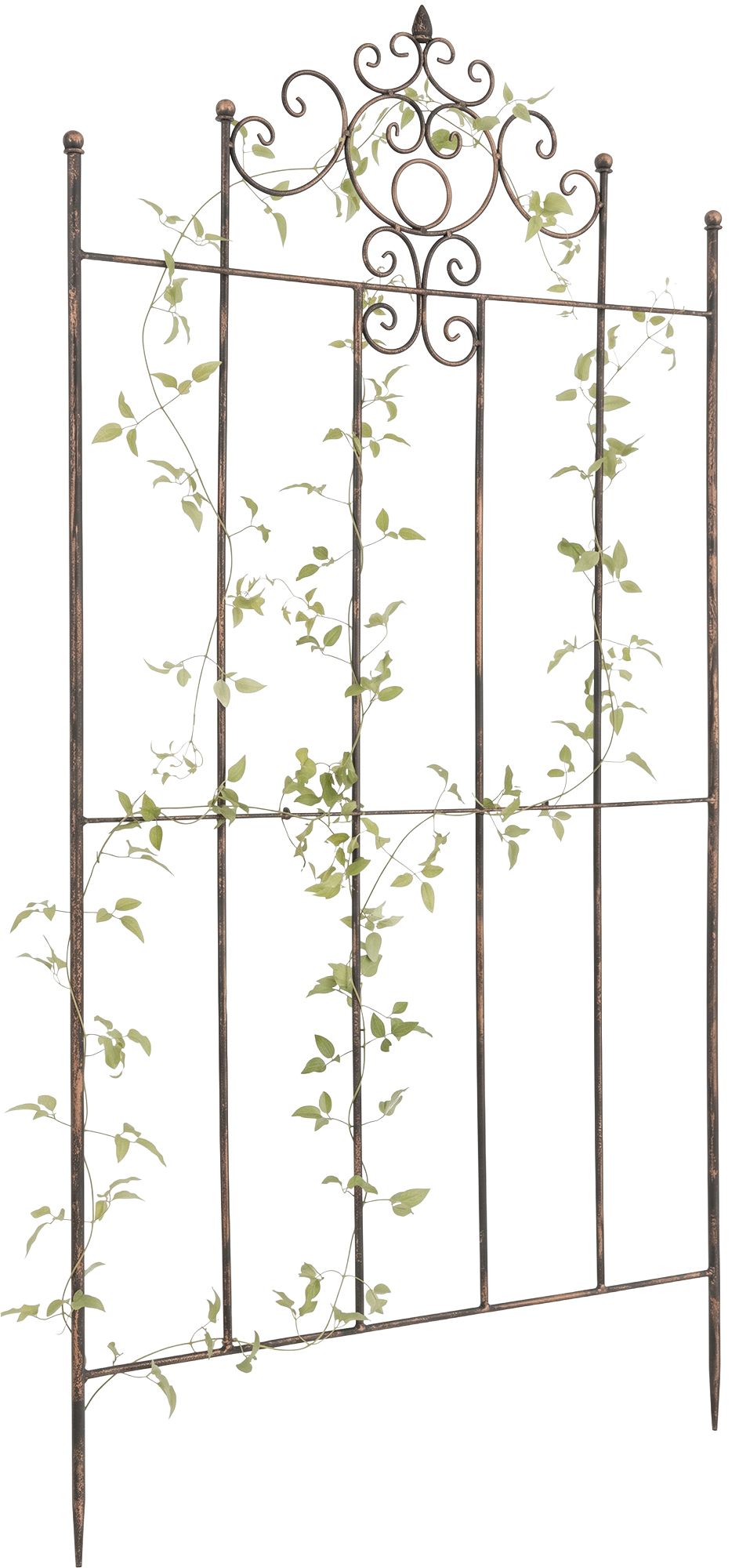 rankgitter-paula-170-x-86-cm-424086
