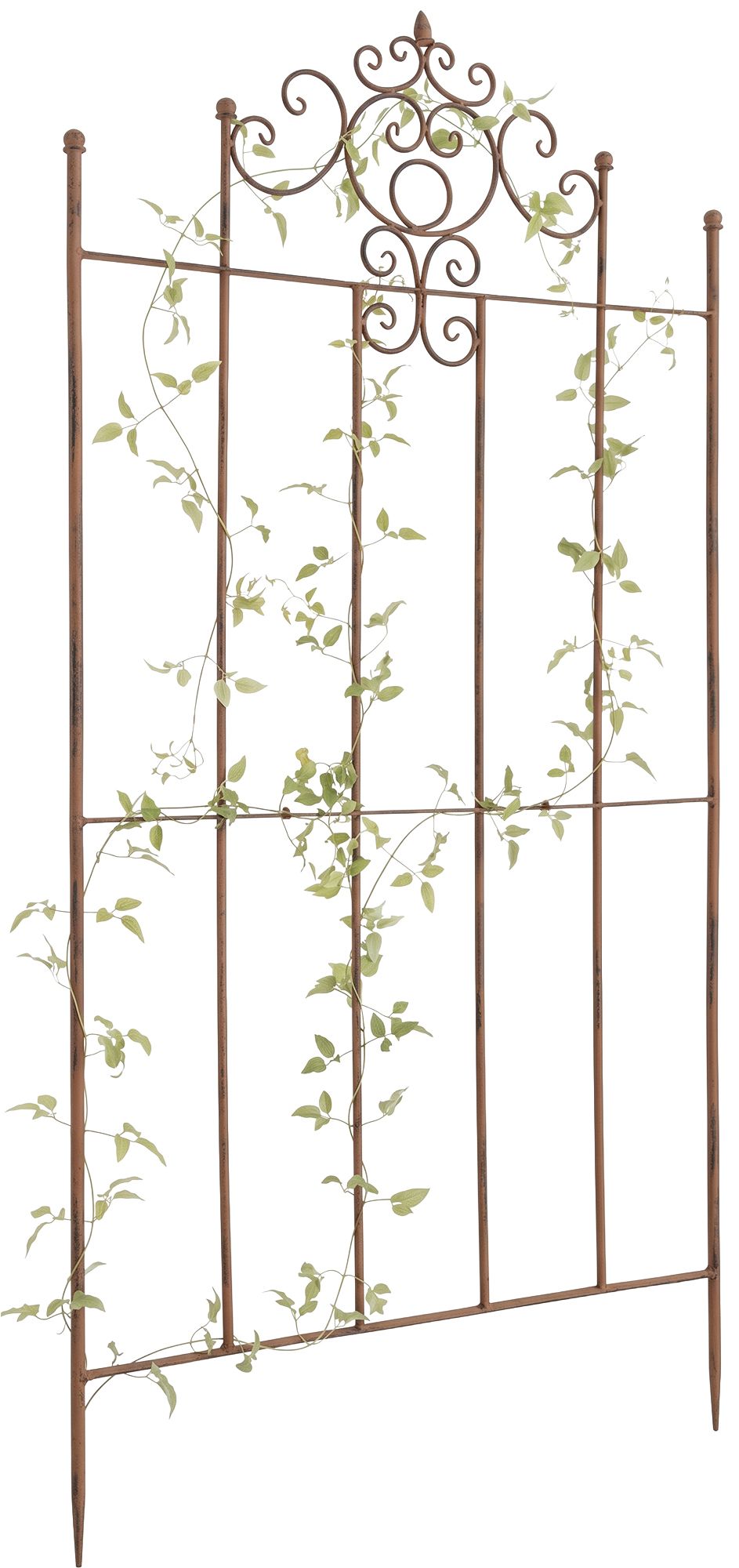 rankgitter-paula-170-x-86-cm-424079